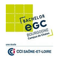 cole de gestion et de commerce de Bourgogne - campus de Chalon-sur-Sane - Chalon-sur-Sane - EGC CHALON