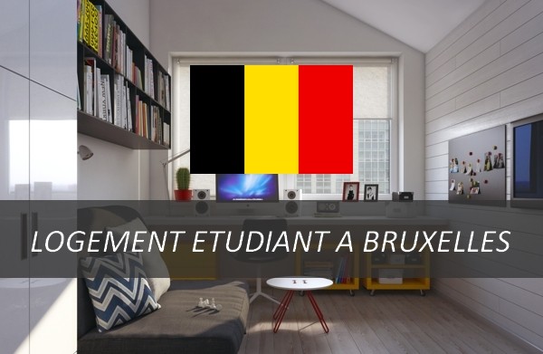 Se former  Bruxelles, la capitale europenne 