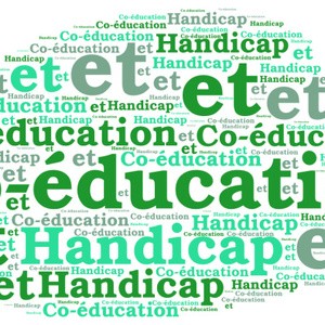 Comit Interministriel du Handicap : des mesures pour les lves et les tudiants