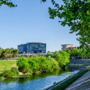 Pourquoi partir tudier  Montpellier?