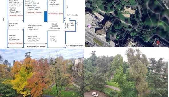 Logement �tudiant Location Duplex Vide Angers (49000)