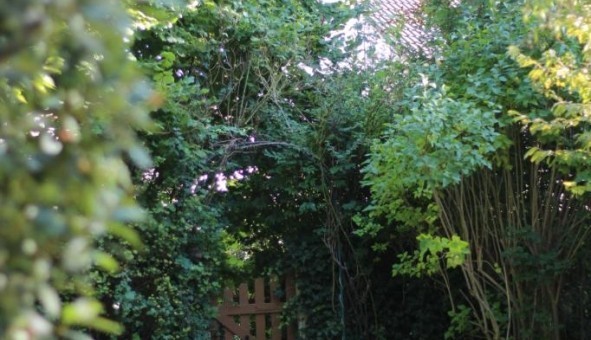 Logement tudiant Duplex à Boisemont (95000)