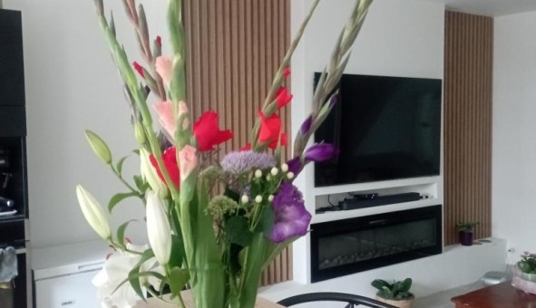 Logement �tudiant Duplex &agrave; Cesson S�vign� (35510)