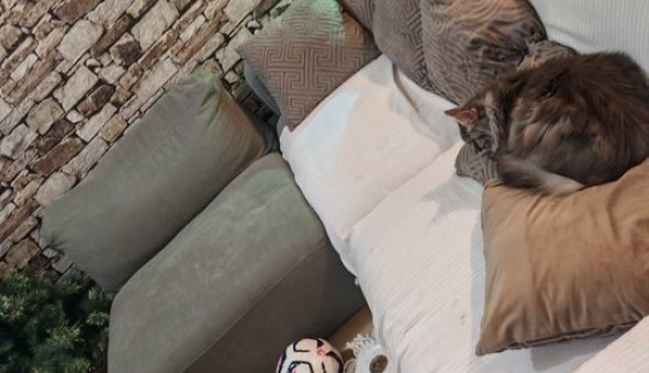 Logement �tudiant Duplex &agrave; Commes (14520)