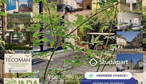 Logement étudiant T3 &agrave; Jouy en Josas (78350)