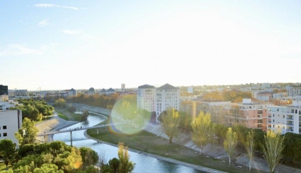 Logement tudiant Duplex à Montpellier (34080)