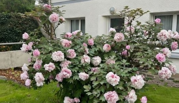 Logement �tudiant Location Duplex Vide Rez� (44400)