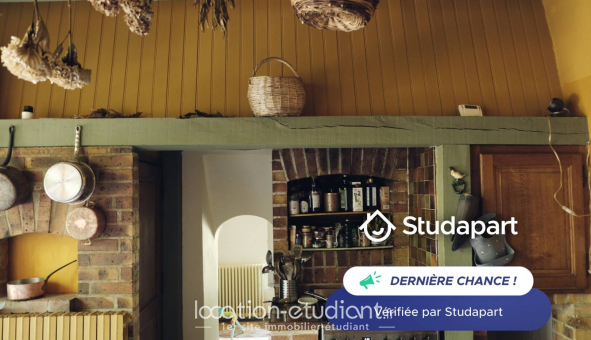 Logement tudiant Duplex à Samois sur Seine (77920)