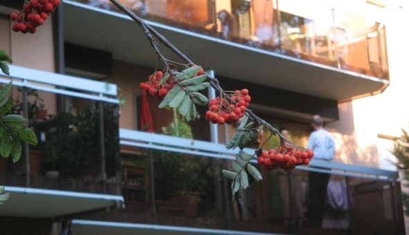 Logement tudiant Location Studio Vide Allinges (74200)