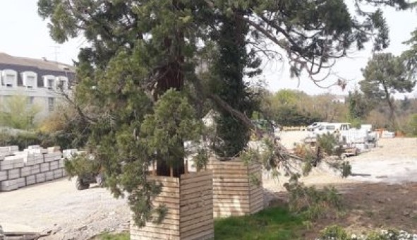 Logement �tudiant Studio &agrave; Angers (49000)