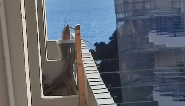 Logement tudiant Studio à Antibes (06160)