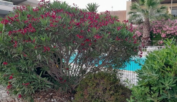 Logement �tudiant Studio &agrave; Antibes (06160)