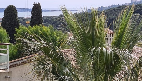 Logement �tudiant Studio &agrave; Antibes (06160)