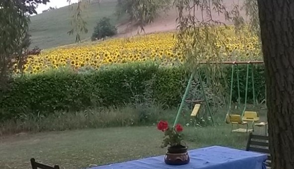 Logement tudiant Studio à Appelle (81700)