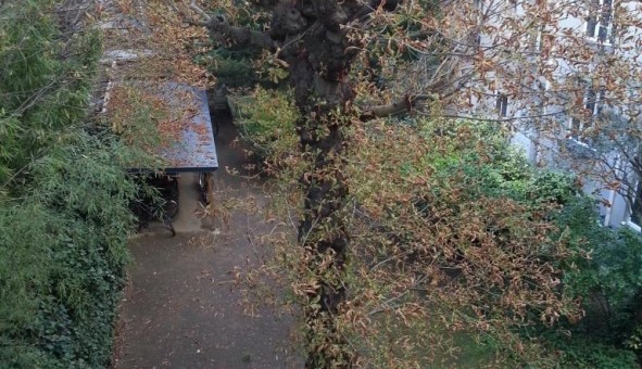Logement tudiant Studio à Asnires sur Seine (92600)