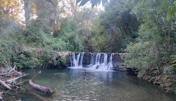 Logement tudiant Studio à Assignan (34360)