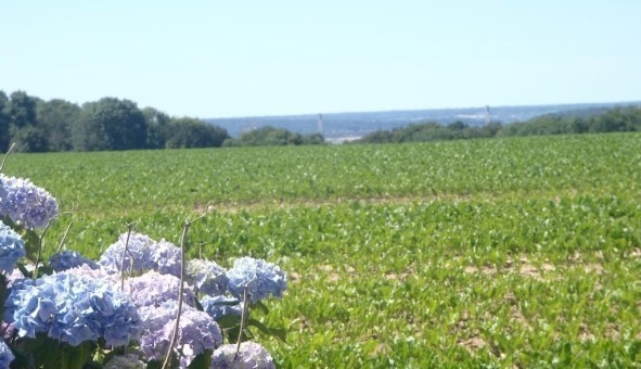 Logement tudiant Studio à Auberville la Campagne (76170)