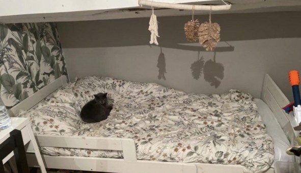 Logement �tudiant Studio &agrave; Aucamville (82600)