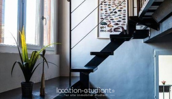 Logement �tudiant Studio &agrave; Avignon (84000)