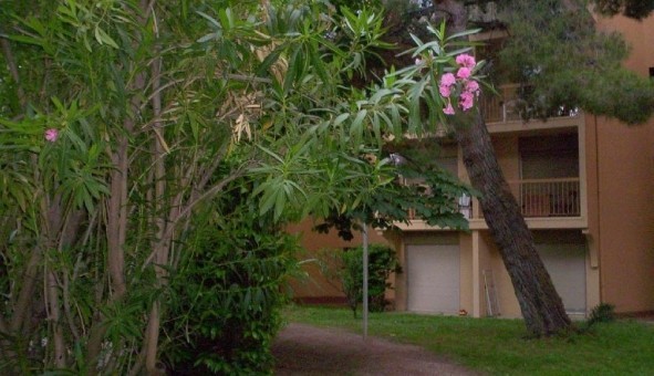 Logement �tudiant Studio &agrave; Avignon (84000)