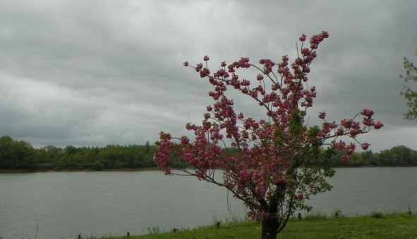 Logement �tudiant Studio &agrave; Baurech (33880)