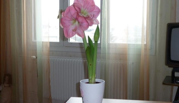 Logement �tudiant Studio &agrave; Besan�on (25000)