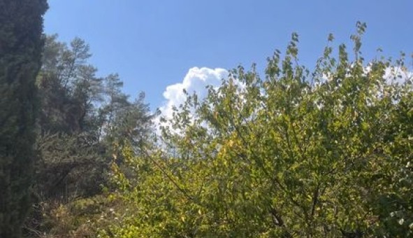 Logement �tudiant Studio &agrave; B�zaudun les Alpes (06510)