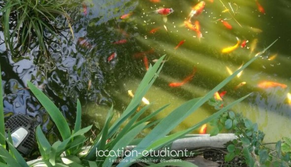 Logement �tudiant Studio &agrave; Biarritz (64200)