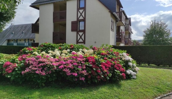 Logement �tudiant Studio &agrave; Bonneville sur Touques (14800)