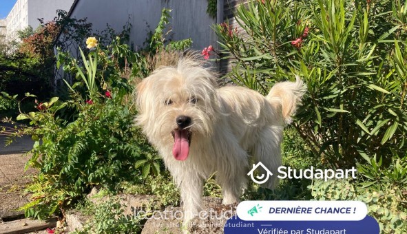 Logement tudiant Studio à Bordeaux (33300)