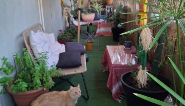 Logement tudiant Studio à Bordeaux (33300)