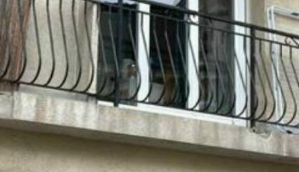 Logement �tudiant Location Studio Vide Bordeaux (33300)