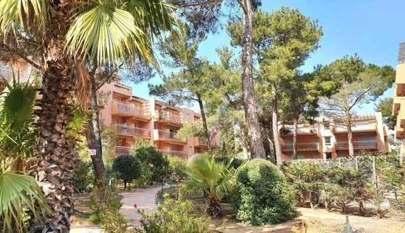 Logement �tudiant Studio &agrave; Bormes les Mimosas (83230)