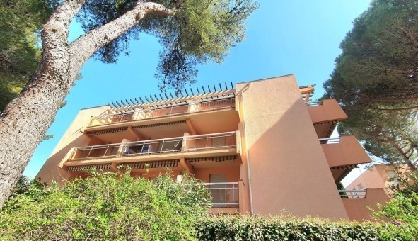 Logement �tudiant Studio &agrave; Bormes les Mimosas (83230)
