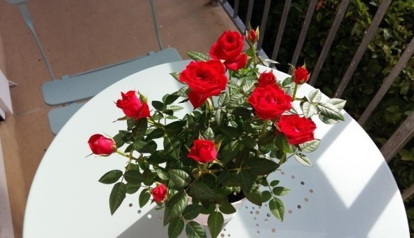 Logement �tudiant Location Studio Vide Bougival (78380)