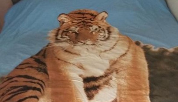 Logement �tudiant Studio &agrave; Bougival (78380)