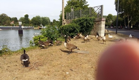 Logement �tudiant Studio &agrave; Bougival (78380)