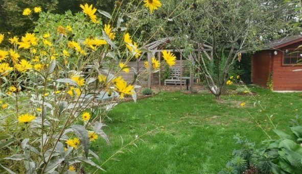 Logement �tudiant Location Studio Vide Br�al sous Montfort (35310)