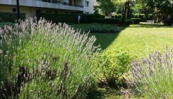 Logement �tudiant Studio &agrave; Bron (69500)