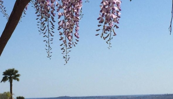 Logement tudiant Studio à Cagnes sur Mer (06800)