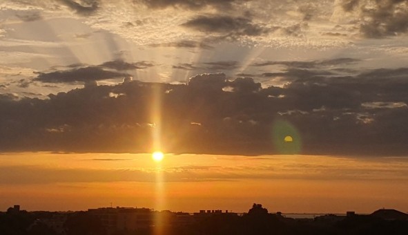 Logement �tudiant Studio &agrave; Candillargues (34130)