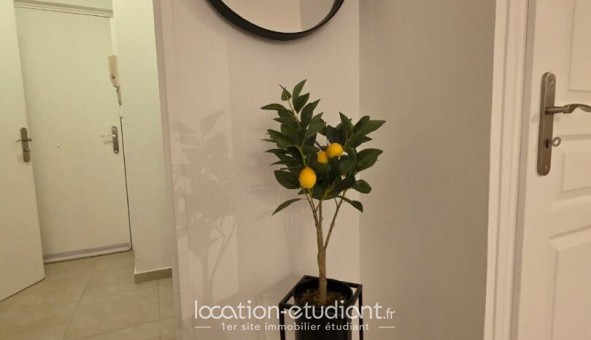 Logement tudiant Studio à Cannes (06400)