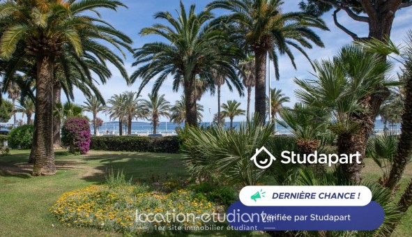 Logement tudiant Studio à Cannes (06400)