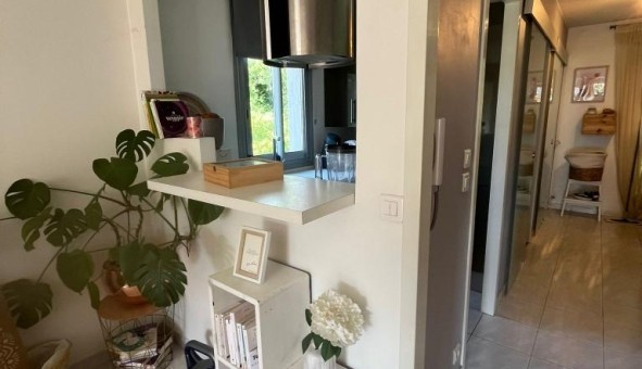 Logement tudiant Studio à Cannes (06400)