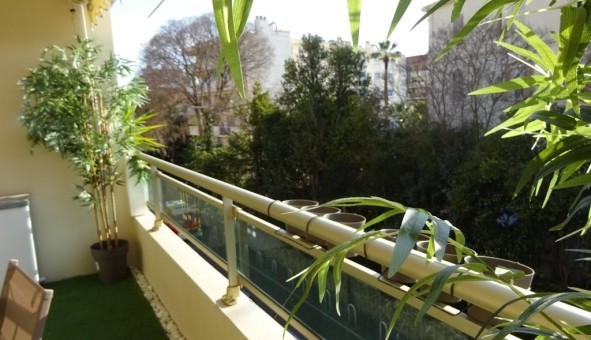 Logement tudiant Studio à Cannes (06400)