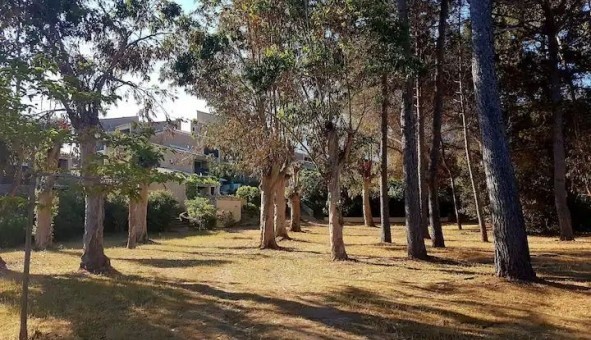 Logement �tudiant Studio &agrave; Casaglione (20111)