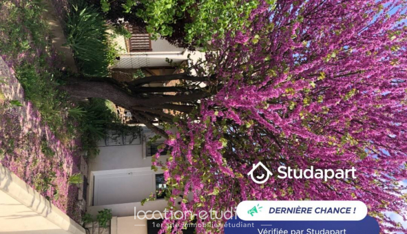 Logement tudiant Studio à Cergy (95000)