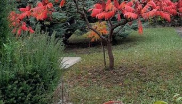 Logement �tudiant Studio &agrave; Chelles (77500)