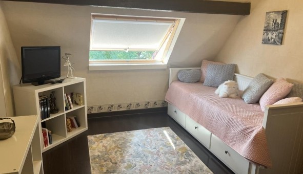 Logement tudiant Studio à Colmar (68000)