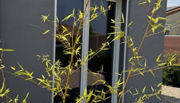 Logement tudiant Studio à Combaillaux (34980)
